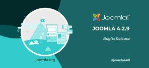 Joomla Version 4.2.9