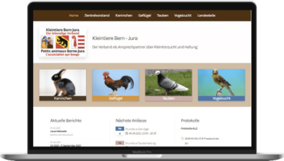 Screenshot der Webseite