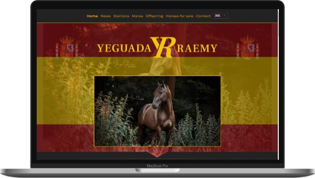 Screenshot der Webseite